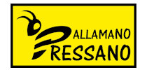 Pallamano Pressano